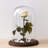 Decorative Table Decor Centerpiece Glass Cloche Jar