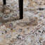 Tapis oriental gris / beige Tonia-32002225