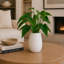 Fieldscairn Ceramic / Porcelain Table Vase-1235762438