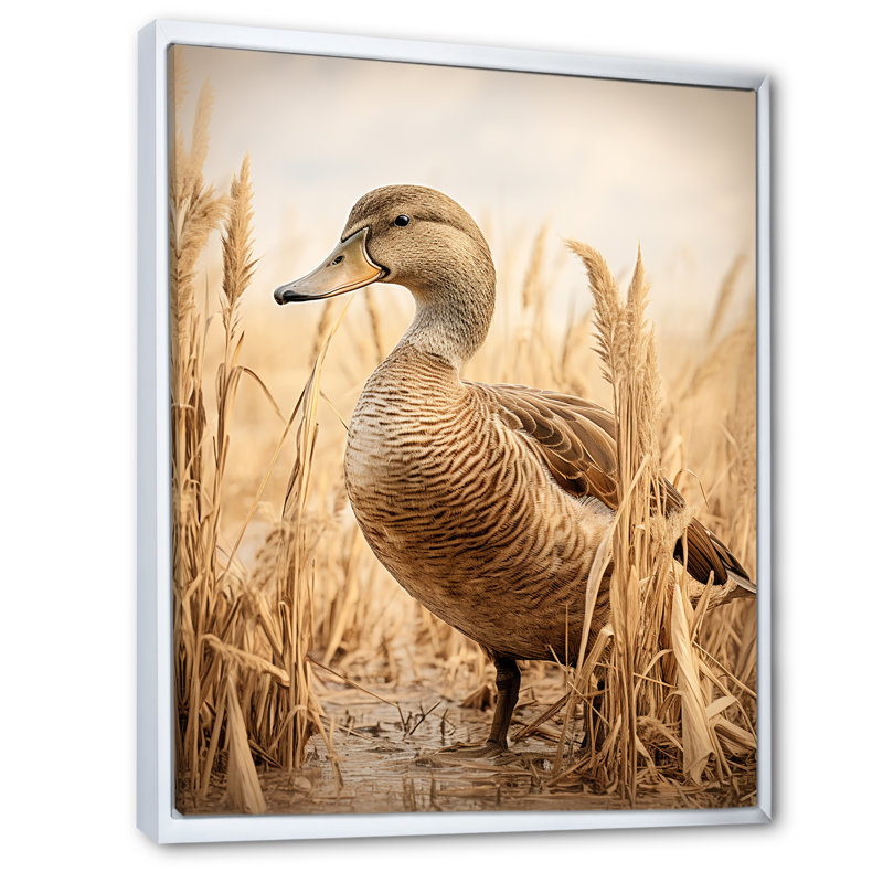 «Brown Duck Elegance I» - Art mural animal canard, Cadre flottant blanc, H 20 po x l 12 po