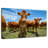 Crowle Gathering Beef Cattle