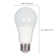 100 Watt Equivalent A19 E26/Medium (Standard) LED Bulb