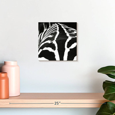 Brampt Zebra Stripes Pattern VI