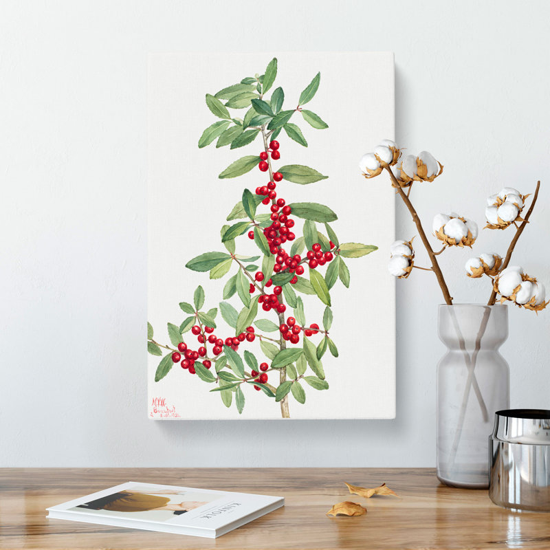 Yaupon by Mary Vaux Walcott - Wrapped Canvas, 60cm H x 40cm W x 3cm D