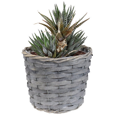 Panier à fleurs d'intérieur en rotin Kreamer