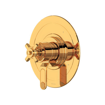 Armstrong 1/2" Therm & Pressure Balance Trim With 5 Functions