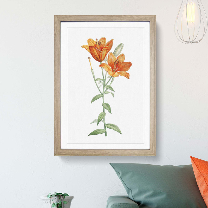 Orange Lily Flowers by Pierre-Joseph Redoute - Picture Frame Painting Print, 48cm H x 36cm W x 2cm D, Oak Framed