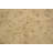 Fien Oriental Handmade Hand-Knotted Rectangle 9'2" x 11'10" Wool Area Rug in Beige