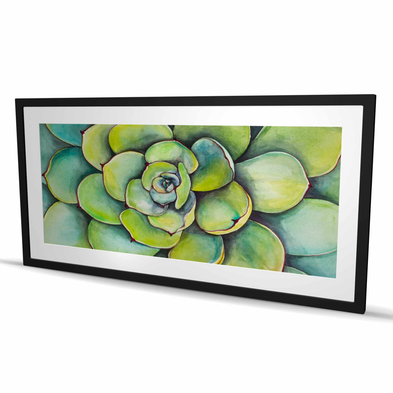 «Watercolor Succulent Plant - Green Flowers», reproduction encadrée, H 48 po x l 24 po, Noir