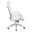 Chaise Executive-20817994