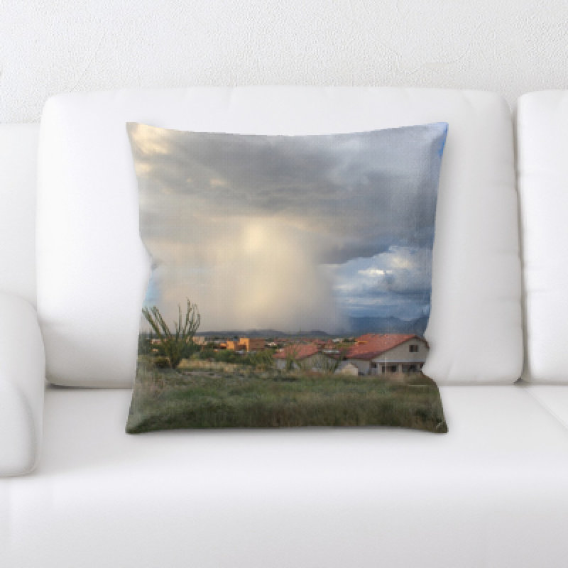 Weinberger Microsuede Throw Pillow