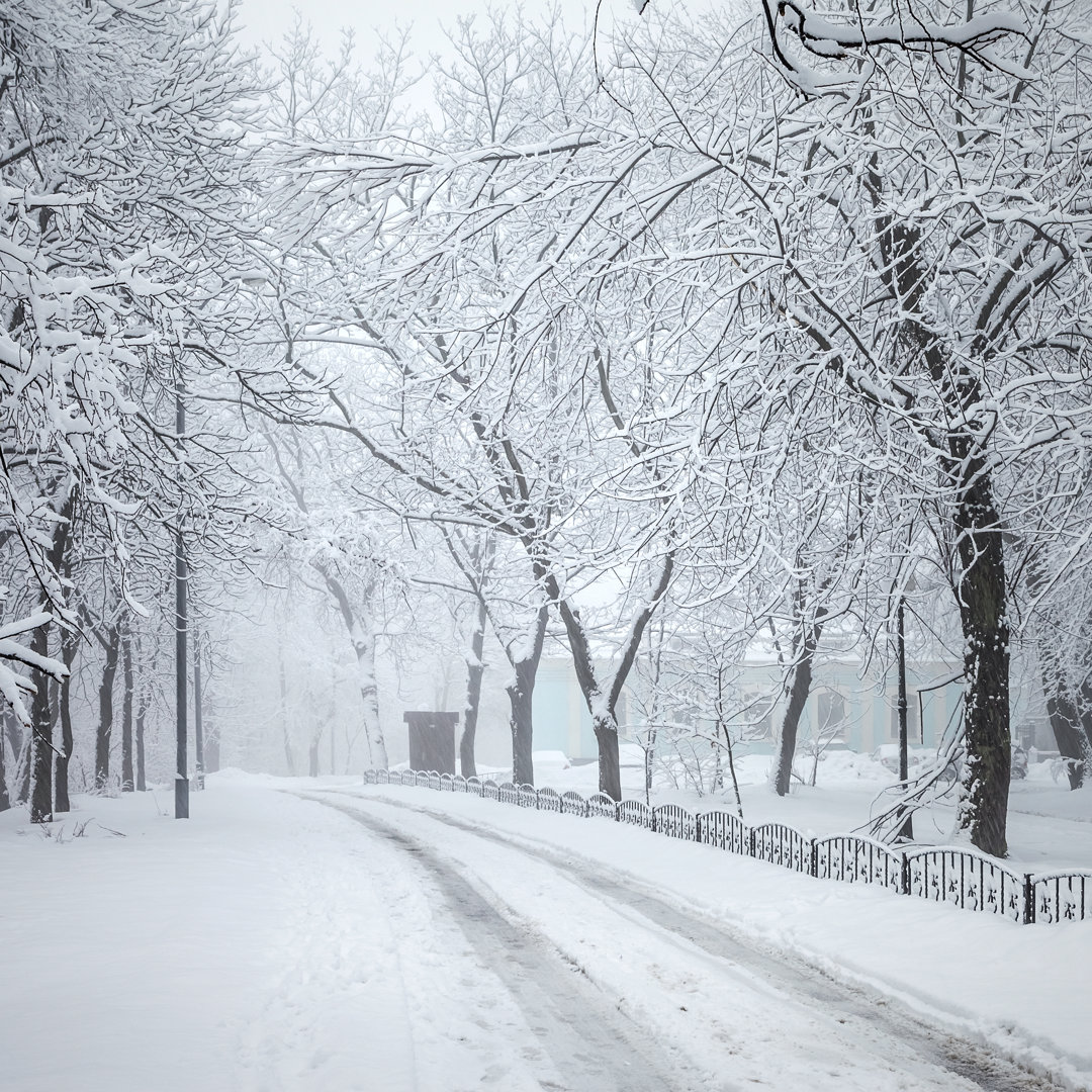 Lakefield City Park im Winter - Leinwandfoto auf Leinwand