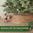 Rattan Tree Collar-119353023