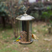 Fenêtre transparente acrylique anti-écureuil nature décor maison mangeoire  à oiseaux extérieur