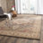 Pennypacker Performance Oriental Rug-311998648