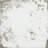 Rhapsody White 13 in. x 13 in. Matte Porcelain Floor and Wall Tile (10.55 sq. ft./Case)