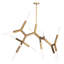 Traveler Chandelier-101878197-63703599