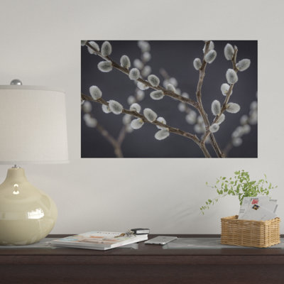 « saule willows i », reproduction de photo