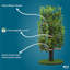 Dinuk 60'' H Cat Tree