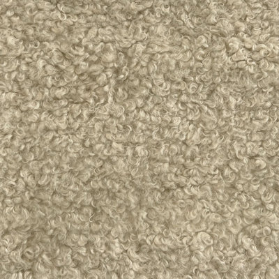 Sherpa Teddy | Kova Fabric