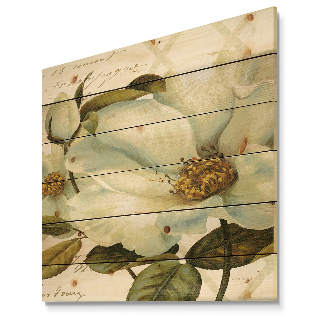 White Blossoming Flower Close-up - Modern Farmhouse Print on Natural Pine Wood East Urban Home 