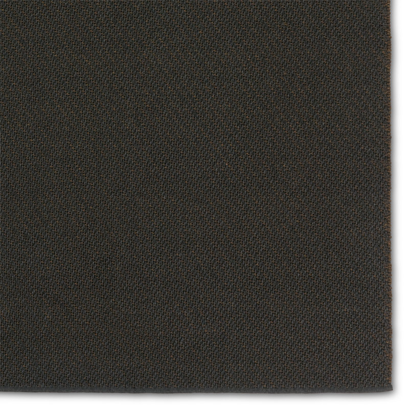 Tapis intérieur / extérieur de couleur unie en polyester / polypropylène tissé à la main Aviva, Rectangle 2 pi x 3 pi