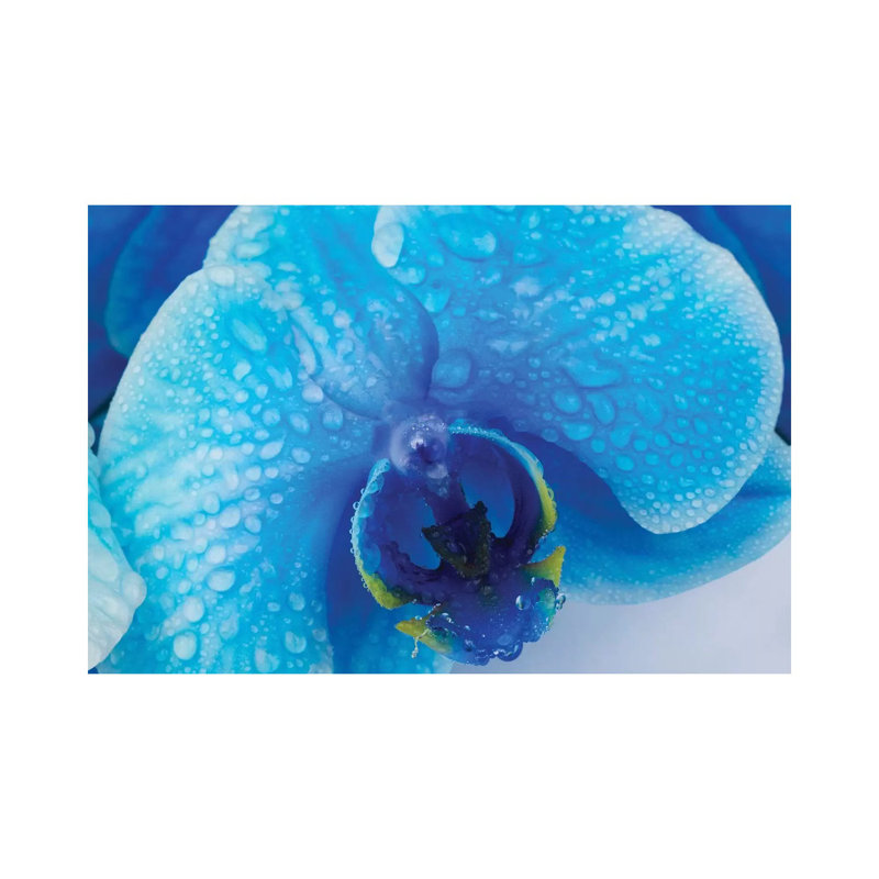 Blue Orchid III 1 Piece Wall Art on Canvas, 30.48 cm H x 45.72 cm W, Wrapped Canvas