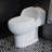 Chateau One-Piece Elongated Toilet Dual-Flush 1.1/1.6 gpf-44638028