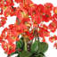Modern Faux Orchid Arrangement In Ceramic Vase