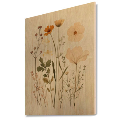Wildflowers from the Herbarium I - Botanical Wooden Wall Decor