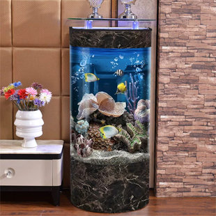 Aquarium 70-80 gallons