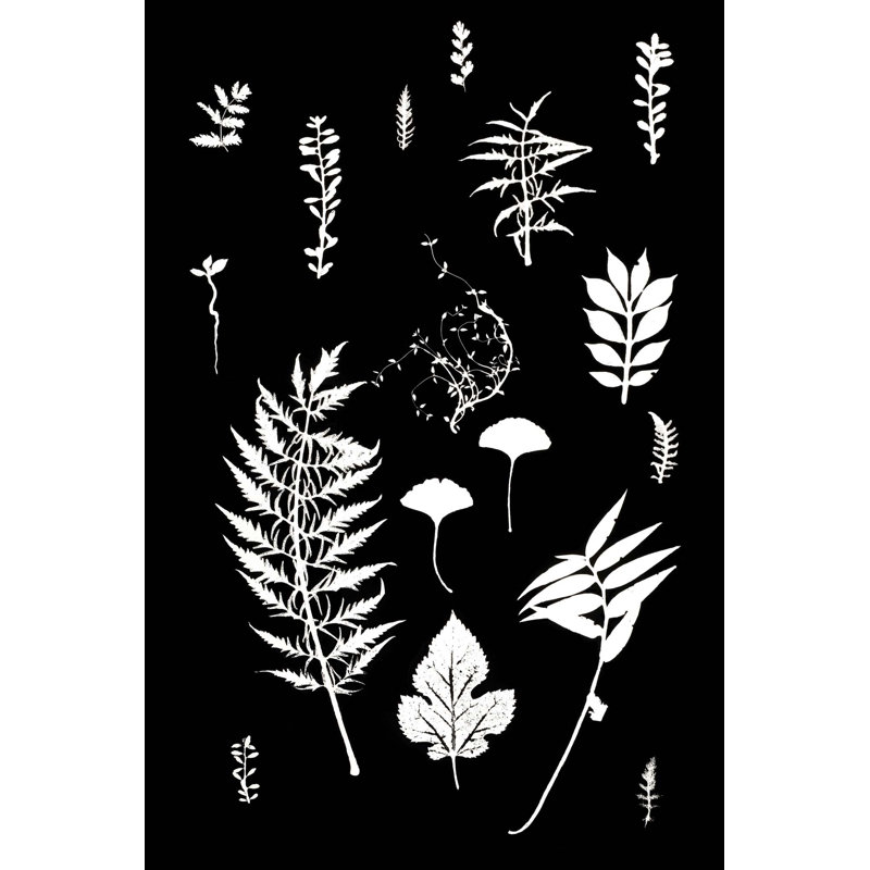 Botanical Collage 2 Print, 40" H x 26" W, Unframed