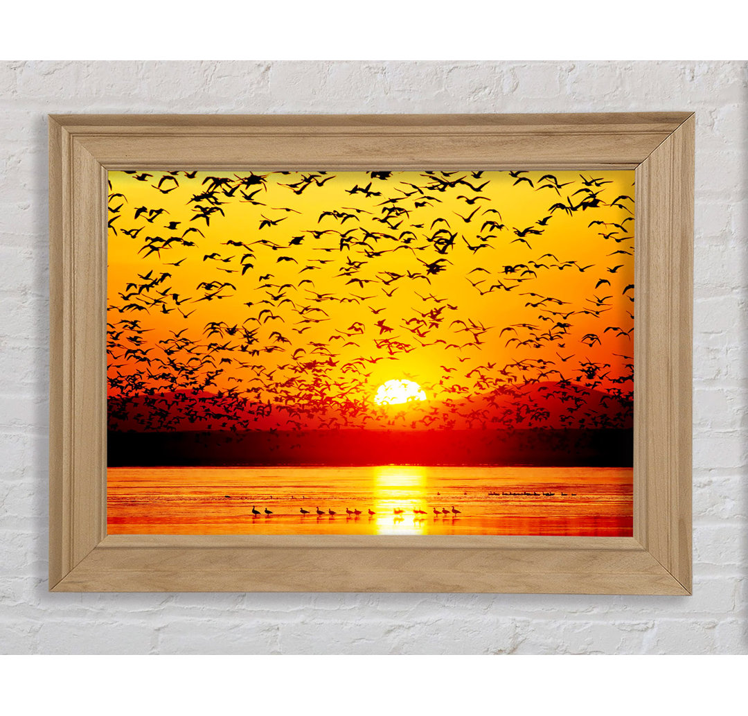 Die Vögel im goldenen Sonnenuntergang - Einzelne Bilderrahmen Kunstdrucke