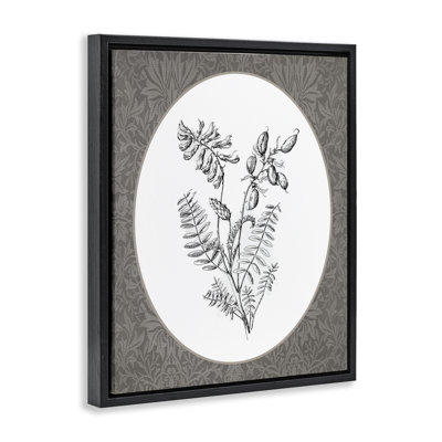 Vintage Forest Botanicals Framed Floater Canvas Wall Art, design by Lettered and Lined