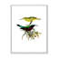 «Vintage Australian Birds XV», impression sur toile-59762103-59762105