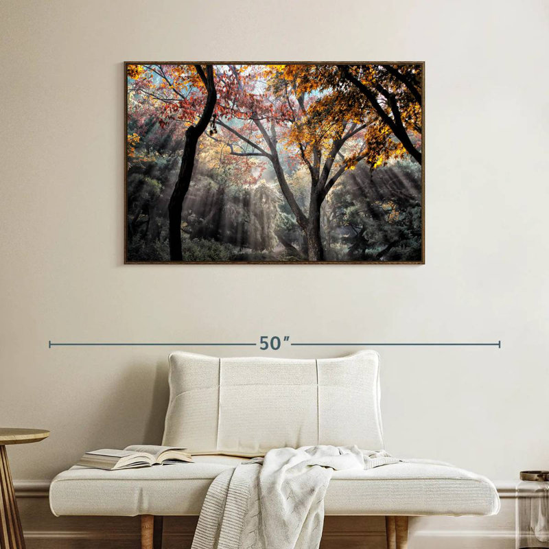 Rayons de soleil de la forêt, Cadre flottant noyer, 40 po x 27 po
