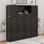 Lit escamotable double avec armoires de rangement