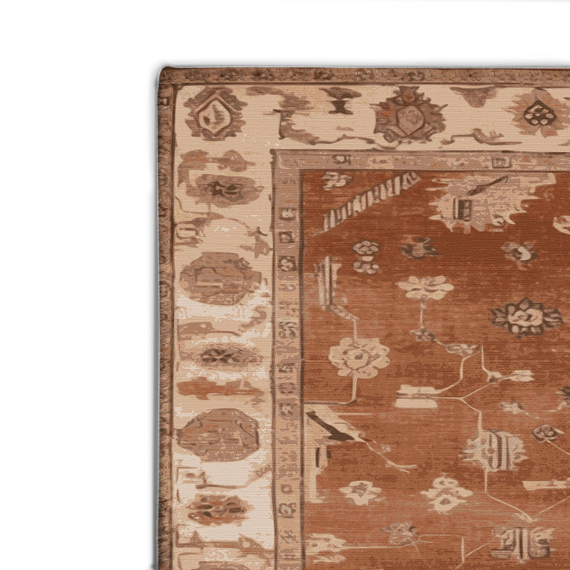 Tapis intérieur et extérieur brun Overdyed, Rectangle 4pi x 6 pi