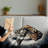 Throw Blanket-883281144