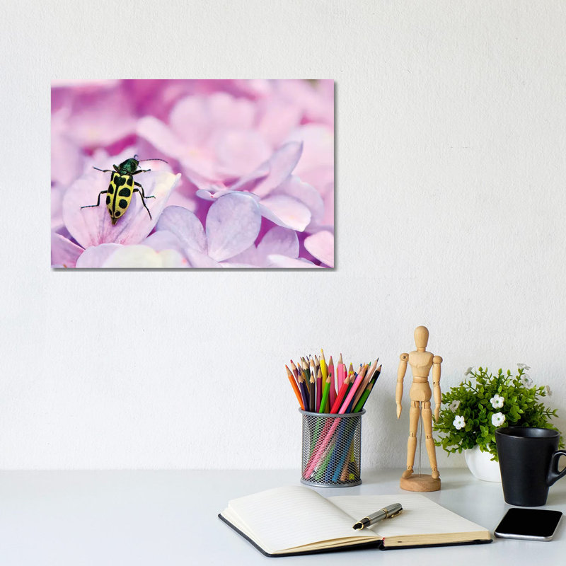 Bug by Glauco Meneghelli - Wrapped Canvas Print, 20.32cm H x 30.48cm W x 1.905cm D