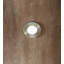 Live Edge Walnut Oblong 5 - Light LED Pendant