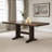 Laimondo Counter Height Dining Extension Table