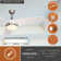 Huntingdon 52'' Ceiling Fan with LED Lights