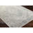 Oriental Indoor Rug-1686348136