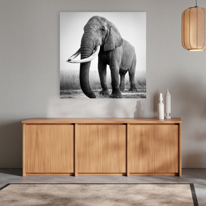 Art mural contemporain majestueux éléphant d'Afrique, 48" H x 48" W