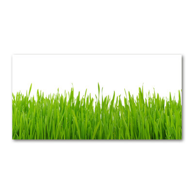 Grass - Wrapped Canvas Print