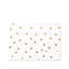 Cardboard / Paper and Iron File Organizer