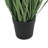 Lavender Drop-In Plant