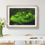 Green Python Snake - Framed Print-62793446-62793447