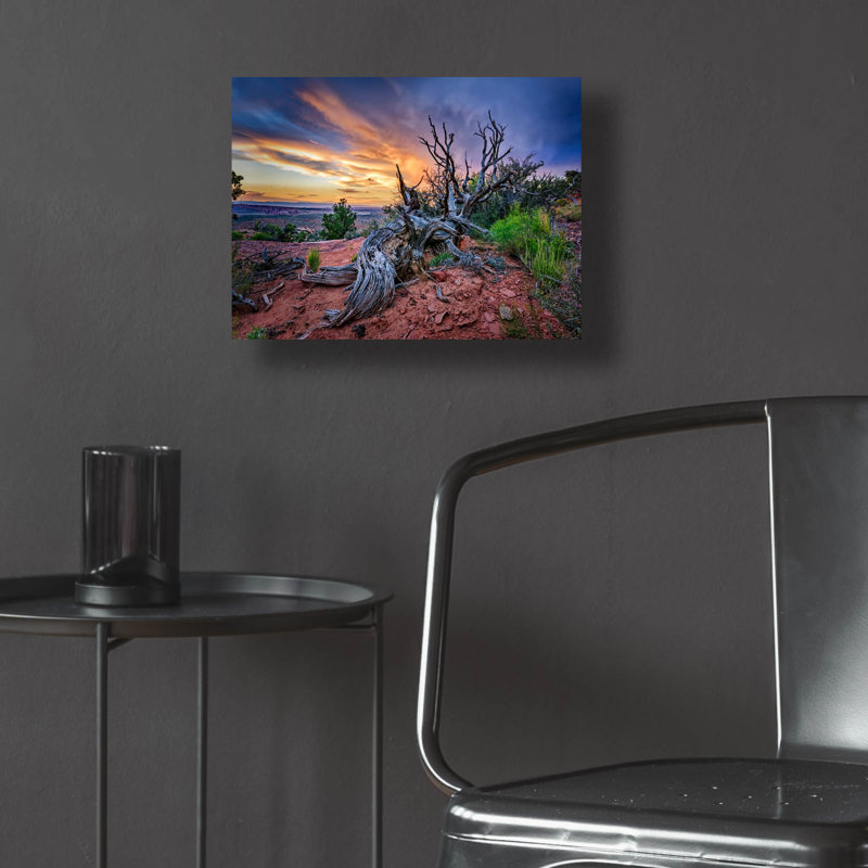 «Bristlecone Sunset» par Rick Berk, art mural en verre acrylique,, H 12 po x l 16 po x P 0,13 po